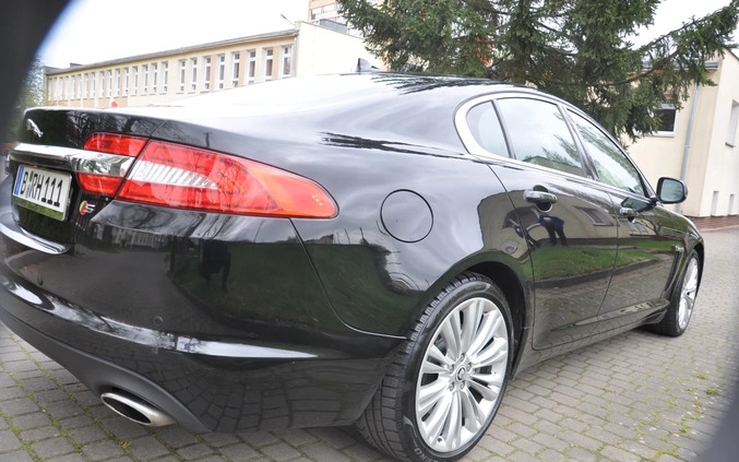 Jaguar XF cena 59900 przebieg: 226000, rok produkcji 2014 z Recz małe 436